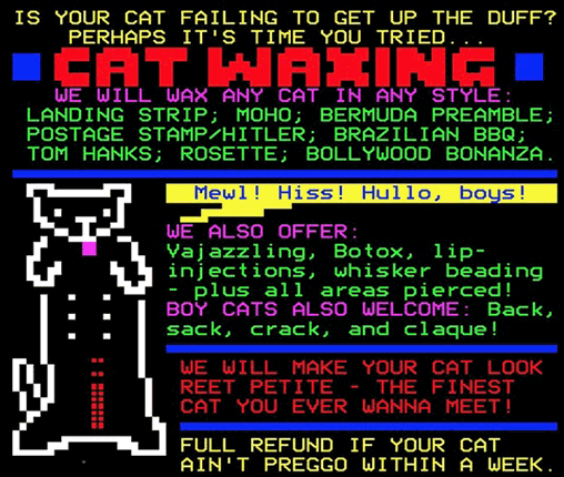 Digitiser Joke Advert: Cat Waxing