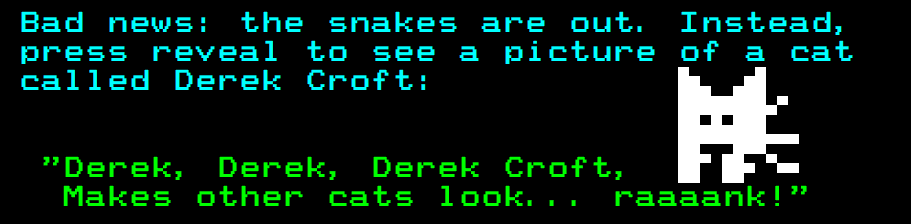 A cat called Derek Croft